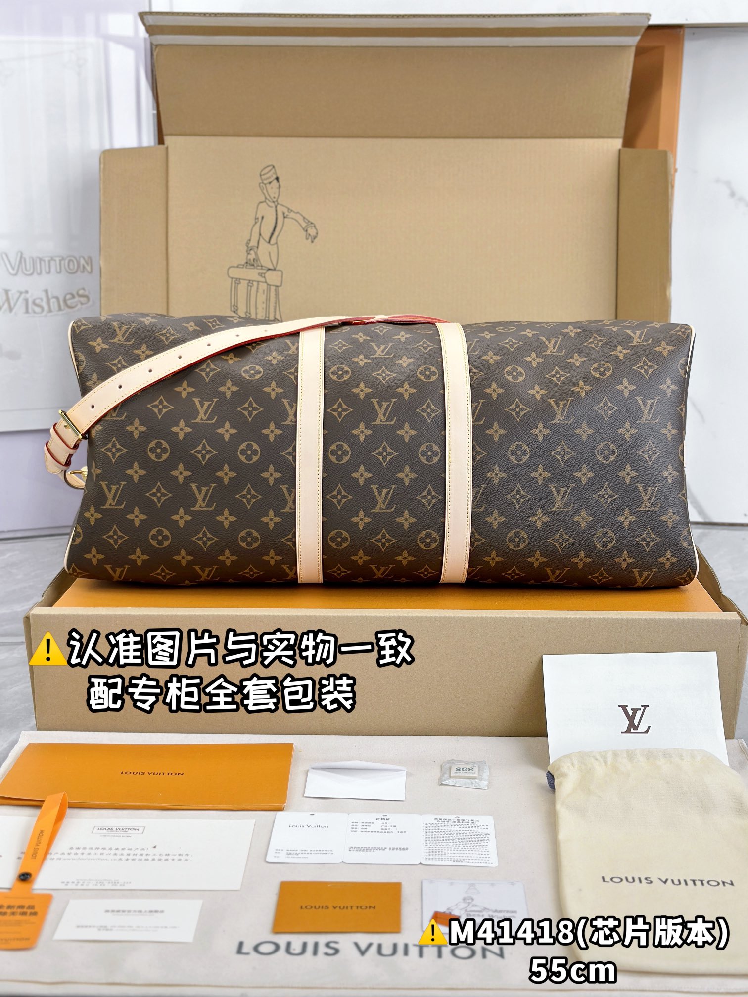 LV Travel Bags